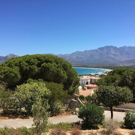 Appartement Calvi Калви Екстериор снимка