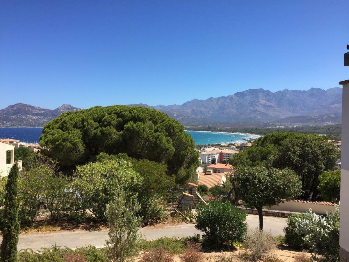 Appartement Calvi Калви Екстериор снимка